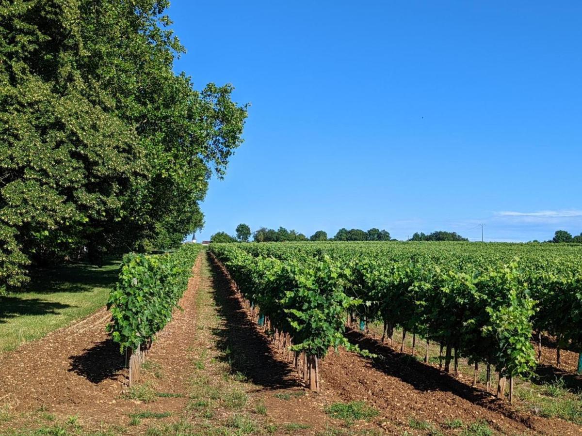 Cherves-de-Cognac Gite Charmant Au Coeur D'Un Chateau Historique Avec Parc, Proche De Cognac, Ideal Famille Et Nature - Fr-1-653-167 מראה חיצוני תמונה